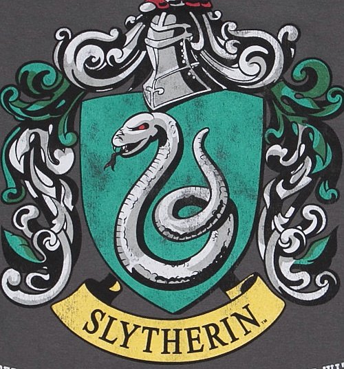 Men's Charcoal Harry Potter Slytherin Team Quidditch T-Shirt Men's Charcoal Harry Potter Slytherin Team Quidditch T-Shirt