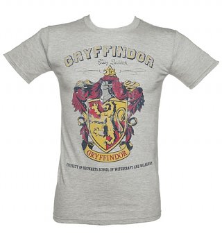 Men's Grey Harry Potter Gryffindor Team Quidditch T-Shirt Men's Grey Harry Potter Gryffindor Team Quidditch T-Shirt
