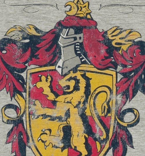 Men's Grey Harry Potter Gryffindor Team Quidditch T-Shirt Men's Grey Harry Potter Gryffindor Team Quidditch T-Shirt