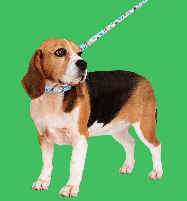 Aardman Wallace and Gromit Gromit's Collar and Lead for Dogs Aardman Wallace and Gromit Gromit's Collar and Lead for Dogs