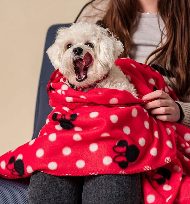 Disney Minnie Mouse Dog Blanket