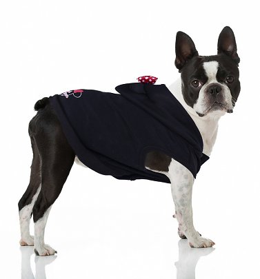 Disney Minnie Mouse Hoodie for Dogs Disney Minnie Mouse Hoodie for Dogs