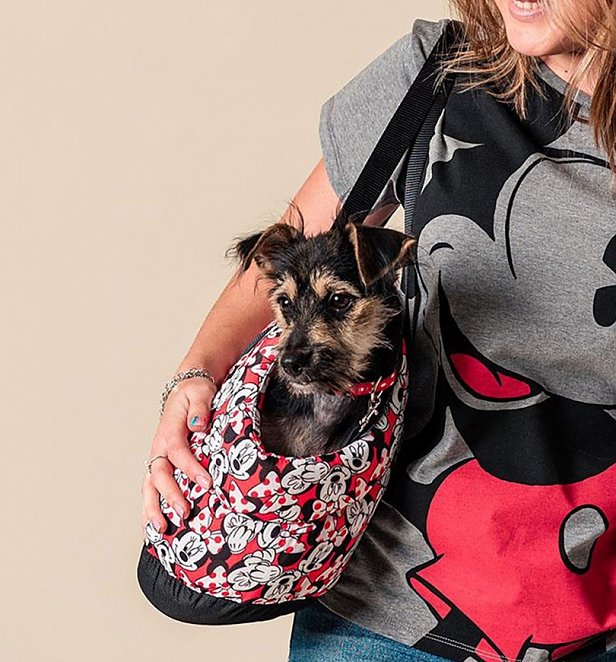Disney Minnie Mouse Padded Pet Carrier