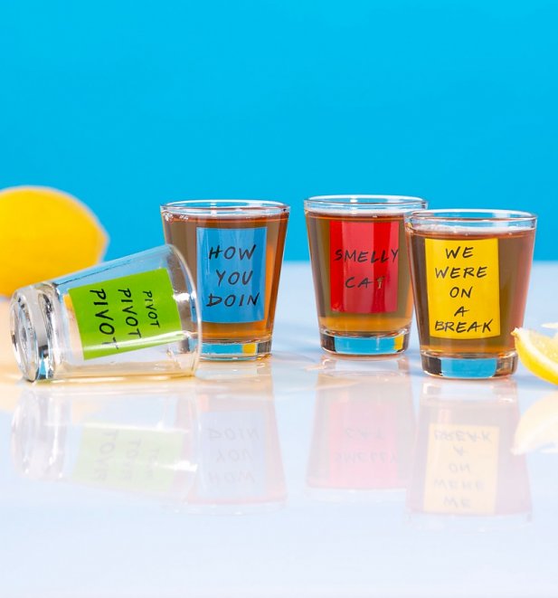 Friends Quotes Set of 4 Shot Glasses