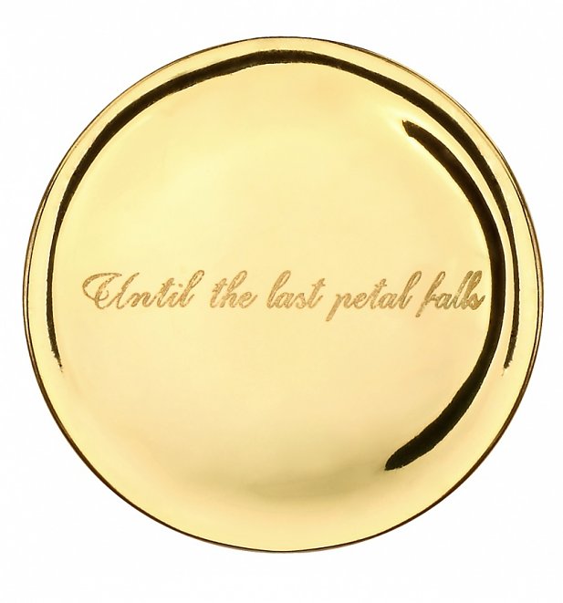 Gold Plated Beauty & The Beast Enchanted Rose Dome Necklace from Disney Couture Gold Plated Beauty & The Beast Enchanted Rose Dome Necklace from Disney Couture