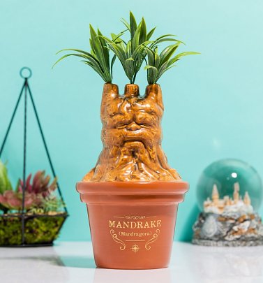 Harry Potter Mandrake Table Vase