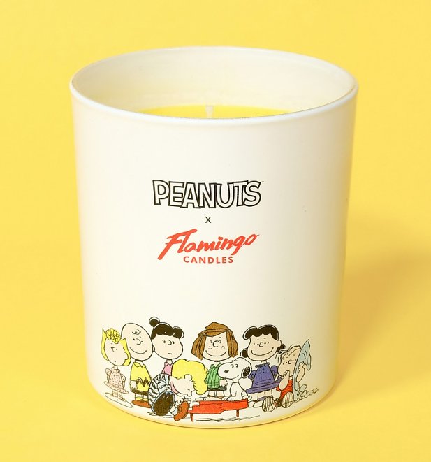 Mango and Dragonfruit Peanuts Gang Jar Candle from Flamingo Candles