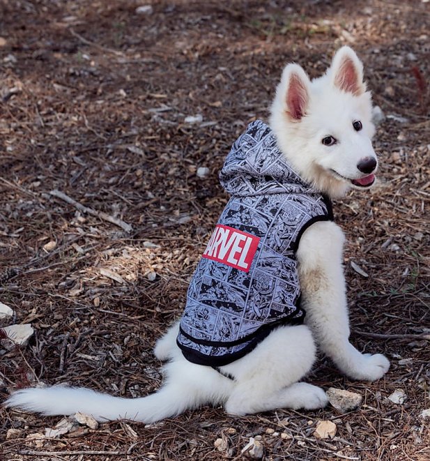 Marvel Comics Hoodie for Dogs