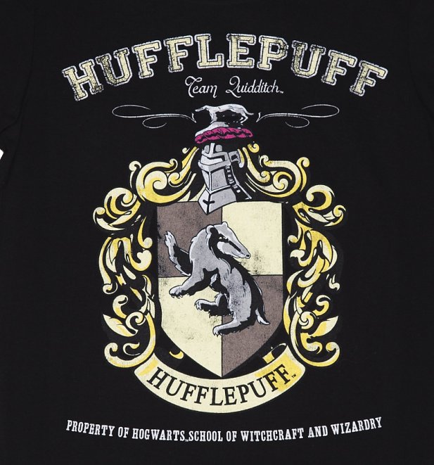 Men's Black Harry Potter Hufflepuff Team Quidditch T-Shirt Men's Black Harry Potter Hufflepuff Team Quidditch T-Shirt