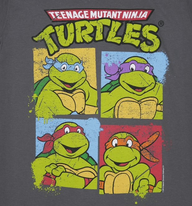 Men's Charcoal Teenage Mutant Ninja Turtles Characters T-Shirt Men's Charcoal Teenage Mutant Ninja Turtles Characters T-Shirt