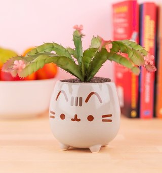 Pusheen Planter Pusheen Planter