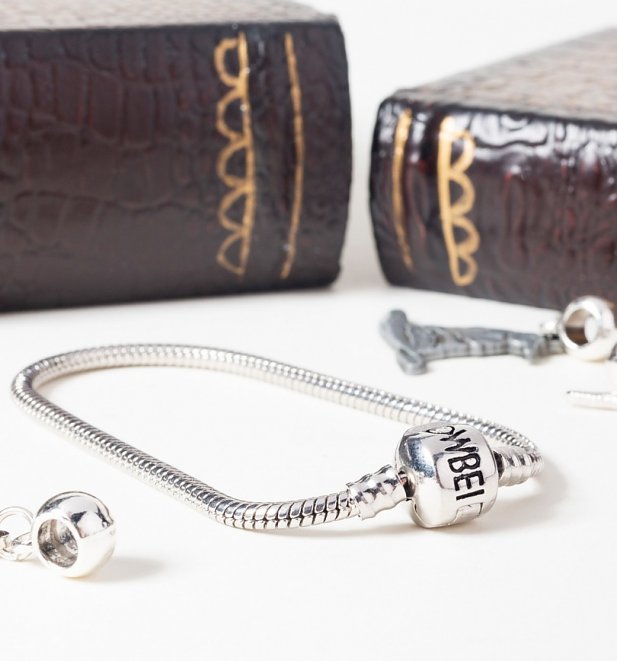 Silver Plated Harry Potter Charm Bracelet For Slider Charms Silver Plated Harry Potter Charm Bracelet For Slider Charms