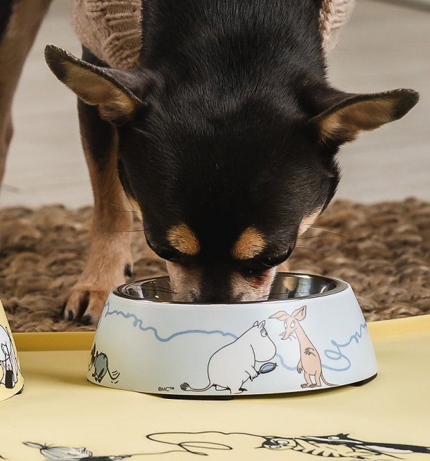 Small Blue Moomin Food Bowl for Pets