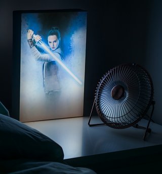 Star Wars Episode VIII The Last Jedi Rey Luminart Star Wars Episode VIII The Last Jedi Rey Luminart