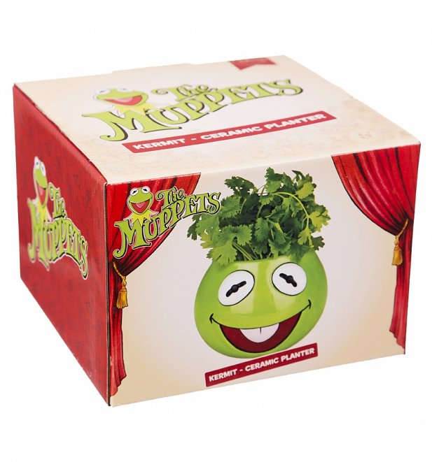 The Muppets Kermit Planter The Muppets Kermit Planter