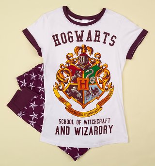 Official Harry Potter Accessories, Gifts, Homewares , T-Shirts and Tops ...