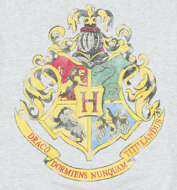 Women's Harry Potter Hogwarts Sweater Women's Harry Potter Hogwarts Sweater