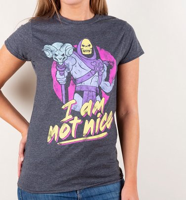Women's Skeletor I Am Not Nice Charcoal Marl Fitted T-Shirt