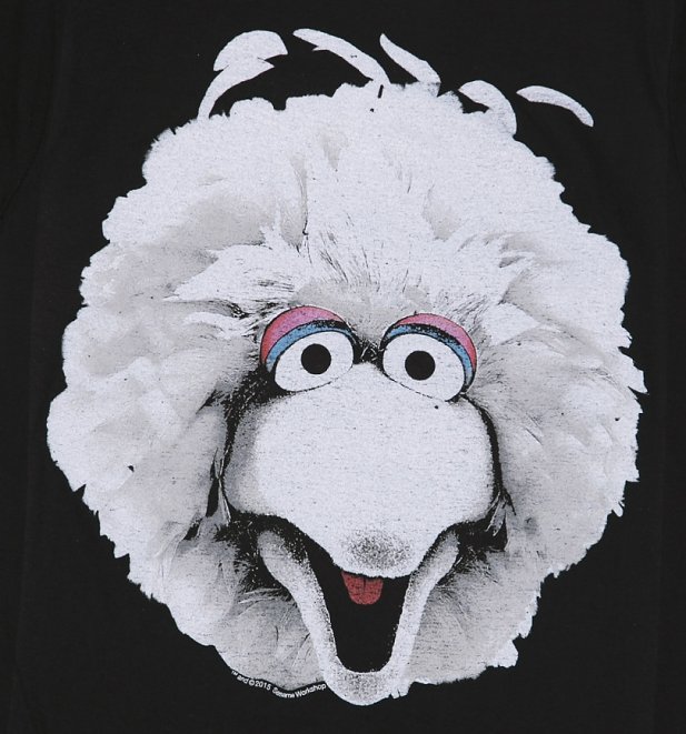 Women's Sesame Street Big Bird Face T-Shirt Women's Sesame Street Big Bird Face T-Shirt